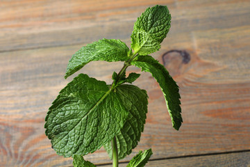 mint on light green background