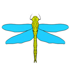 Abstract design dragonfly