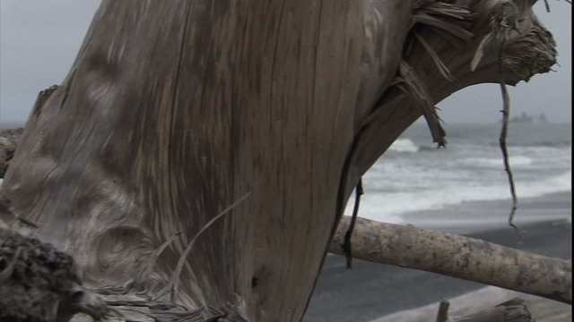 eCU driftwood detail, & grain