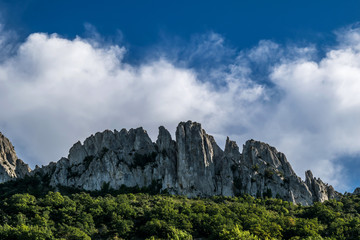 Dentelles de Montmirail