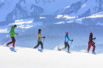 Schneeschuh-Wanderung im Gebirge