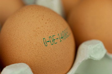 Erzeugercode auf Hühnerei