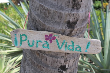 Holzschild Pura vida an einer Palme