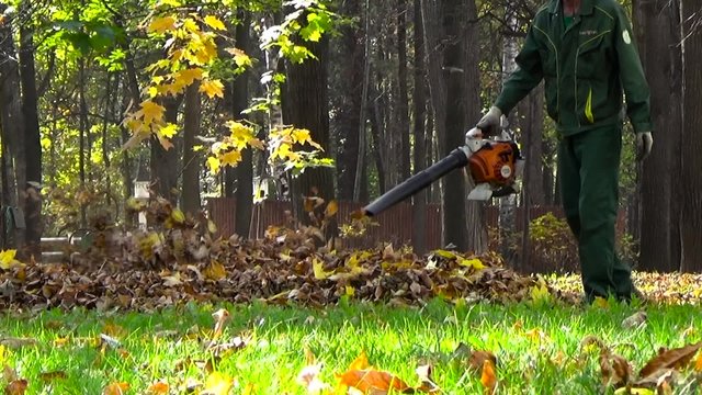 Gardener with a leaf blower in the park