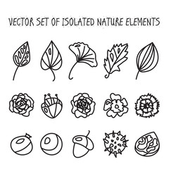 Vintage flowers, fruits and leaves icons collection