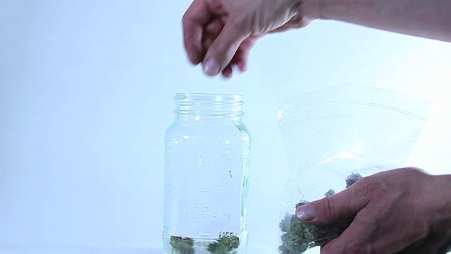 Hands transfer marijuana from a plastic bag to a glass jar.