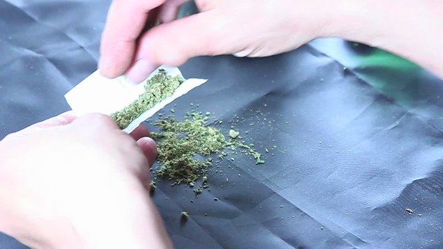 A person puts marijuana into rolling papers.