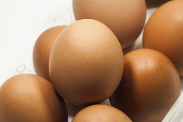   eggs in the package on white background