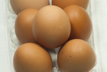   eggs in the package on white background