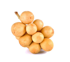 Wollongong isolated on the white background