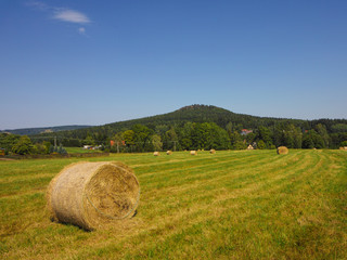Wolfsberg