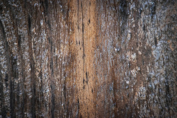 wood texture