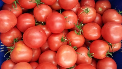 Tomatoes