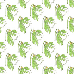 Green pea. Seamless pattern with vegetables. Hand-drawn
