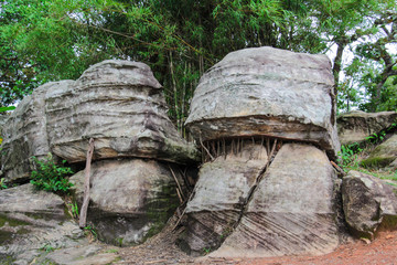 Rock at Pa Hin Ngam National Park,Thailand.