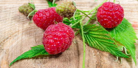 Closeup of fresh raspberries.