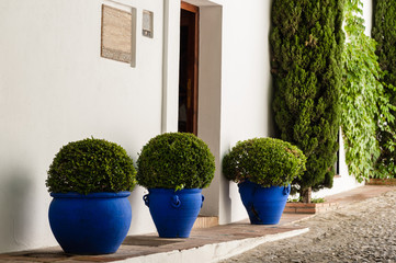 Three pots, Spain