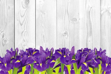 Foto op Plexiglas Iris Blueflag of irisbloem op witte houten achtergrond
