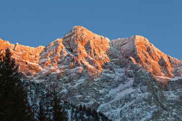 Felswand mit Alpenglühen