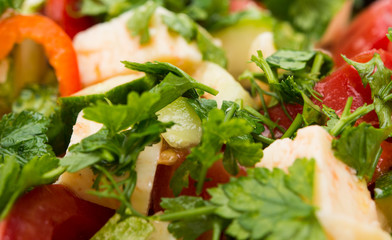 Fresh salad with tomatoes, cucumber and cheese cubes