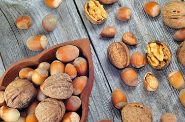 Hazelnuts and walnuts