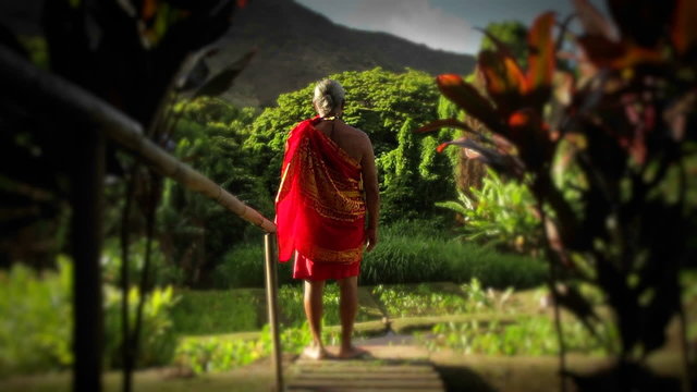 A native Hawaiian stands looking out at his land.