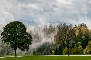 Obraz na płótnie Canvas Clearing Clouds Black Forest