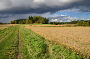 Fototapeta na wymiar View of countryside, Sipoo, Southern Finland.