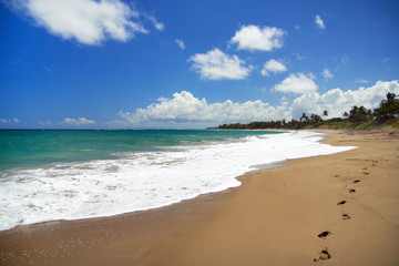 Fototapeta na wymiar Tropical destinations. Beach of caribbean sea
