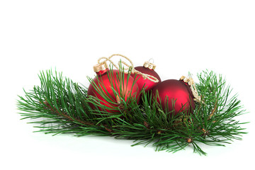 Christmas ball and green spruce branch, on white background