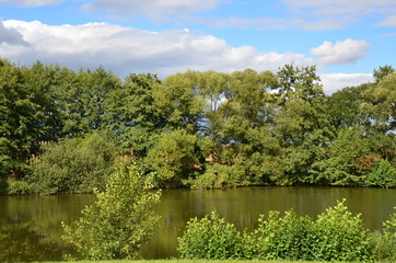 Naturlandschaft Spätsommer am Teich mit Himmelblau
