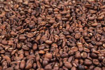 coffee beans on the table