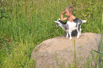  A boy looks afar, playing the young goat