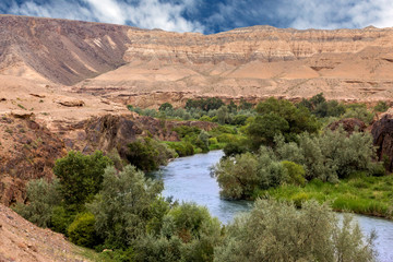 View of Oasis in Central Asia Rocky Desert Canyon between Orange Hills with River Flowing Surrounded by Green Flora