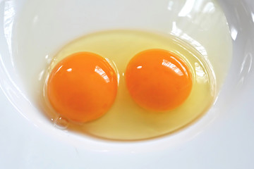 Twin yolks