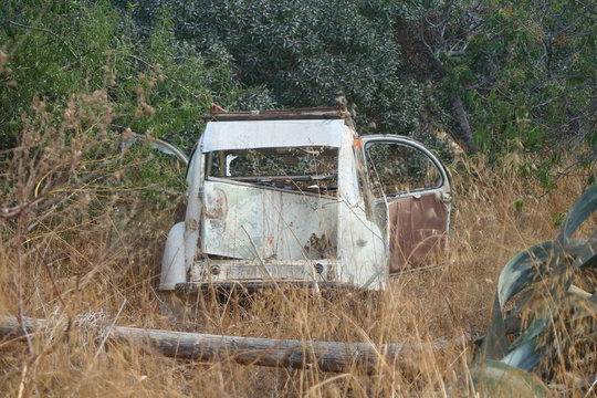 Autowrack Citro&euml;n 2CV Ente wei&szlig; zwischen Halmen und Geb&uuml;sch
