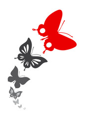 butterflies design