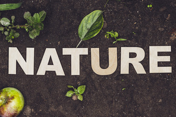 word nature made up with wooden letters