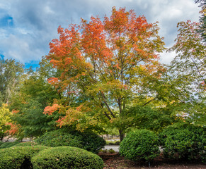 Autumn Begins In The Pacific Northwest. © George Cole