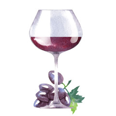 Vector watercolor sketch of wine and grapes.