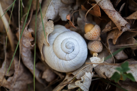 autunno