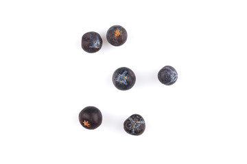 Dried black currant