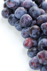 Fresh plums on a white background