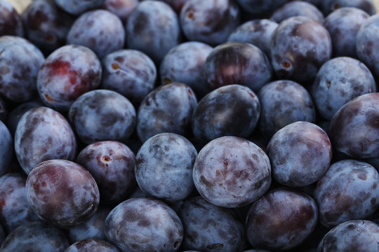 Fresh Plums Background, Close Up