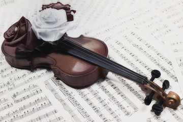 Fototapeta premium old violin with musical notes and rose