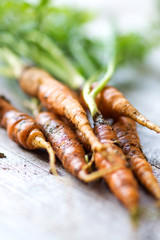 Homemade organic carrots