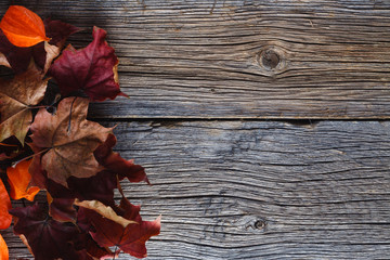 Naklejka na ściany i meble Fall leaves on rustic wood table