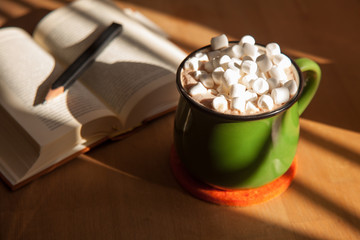 Mug of Hot Chocolate and Marshmallows