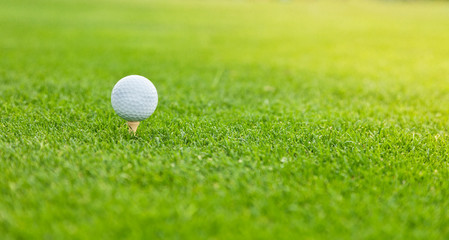 Golf ball on the green lawn