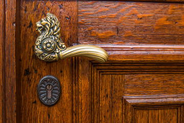 Door handle an wooden door
